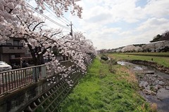 640px-世田谷区_野川・野川緑道_201504020958_-_panoramio